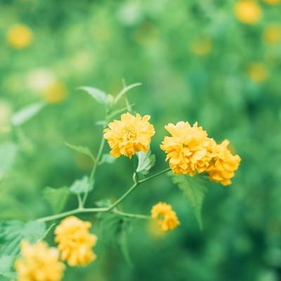 混沌起源之剑魂世界破解版下载
